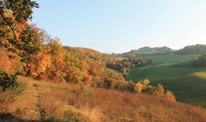PASSEGGIATA AUTUNNALE FRA CARPINETI E FELINA immagini\calendario\20171021_1.jpg